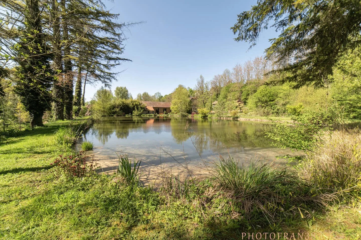 Reflections of the trees on the private pond at Le 10